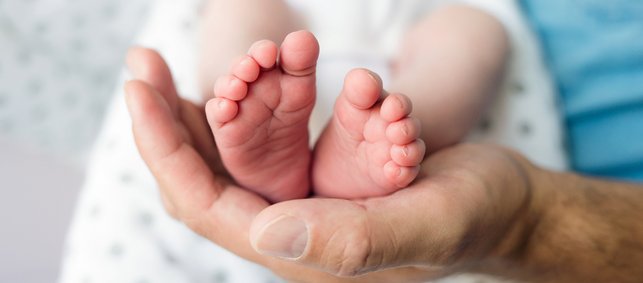 Erwachsener hält winzige Babyfüße in einer Hand