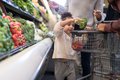 Mädchen in Supermarkt legt Gemüe in Einkaufswagen.