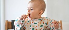 Baby in Hochstuhl isst mit den Händen ein gegartes Stück Gemüse, wahrscheinlich Pastinake. 