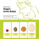 Nach der Geburt passt erst einmal nur wenig in den Magen eines Babys. Deshalb trinkt es häufig und kleine Mengen. Am 1. Tag ist der Magen so groß wie eine Kirsche, nach 4 Wochen wie ein Ei.