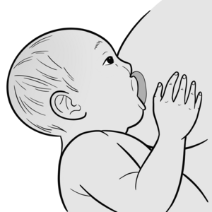 Illustration Baby trinkt an Brust, die Lippen sind aufgestülpt