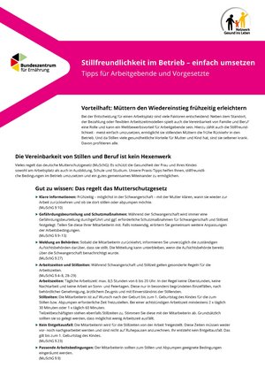 Titelbild "Stillfreundlichkeit im Betrieb - einfach umsetzen"