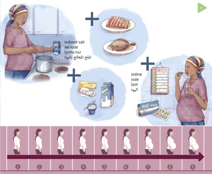 Zeichnung Nehmen Sie während der Schwangerschaft täglich 100 (bis 150) Mikrogramm (µg) Jod ein. Verwenden Sie zusätzlich beim Kochen Jodsalz und verzehren Sie regelmäßig Meeresfisch, Milch und Milchprodukte.