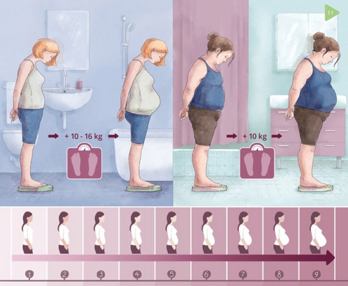 Normalgewichtige Frauen: Gewichtszunahme in der Schwangerschaft von etwa 10-16 kg ist angemessen. Bei mäßigem und starkem Übergewicht: geringere Gewichtszunahme wünschenswert, bis 10 kg reichen aus. Untergewichtige Frauen: auf ausreichende Zunahme achten.