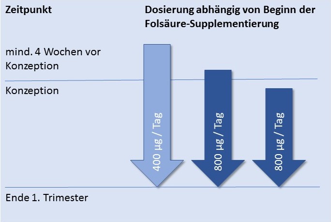 Dosierung Folsäure